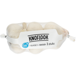 Knoflook