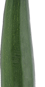 Courgette