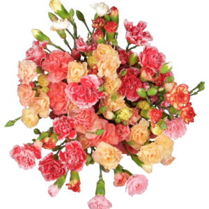 Bloemen Trosanjer 10 stelen