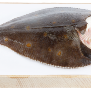 Sea Fresh Hele schol