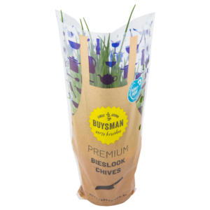 Bieslook grote pot