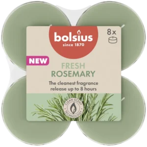 Bolsius Maxilichten 8u true scents rozemarijn
