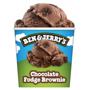 Ben & Jerry's Chocolate fudge brownie