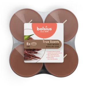 Bolsius Geurlichten maxi true scents old wood