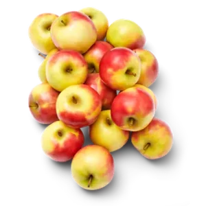 Elstar appels