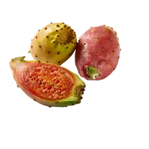 Catusvijgen