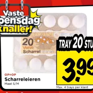 Scharreleieren