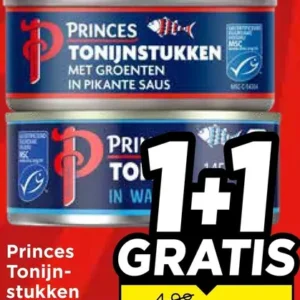 Tonijnstukken