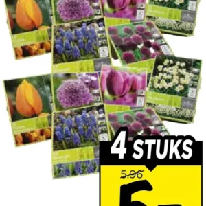 Bloembollen