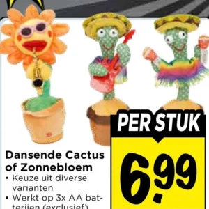 Dansende Cactus of Zonnebloem