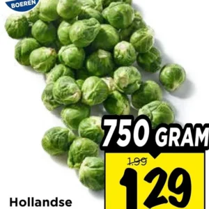 Hollandse Spruiten