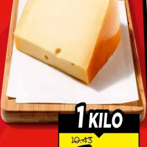 Goudse Kaas Jong 48+